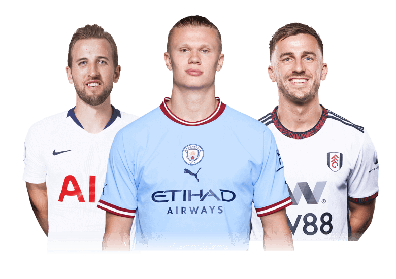 白菜项目 Main Banner